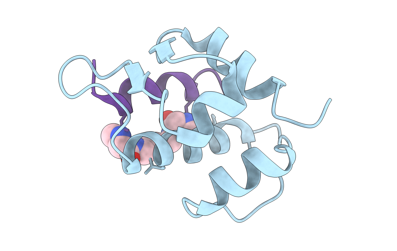 6T2F image