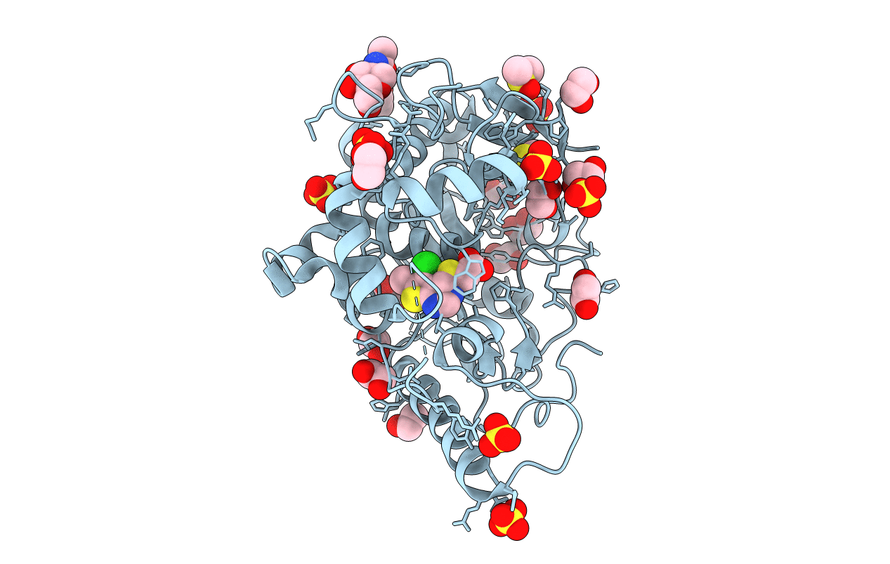 6T2H image