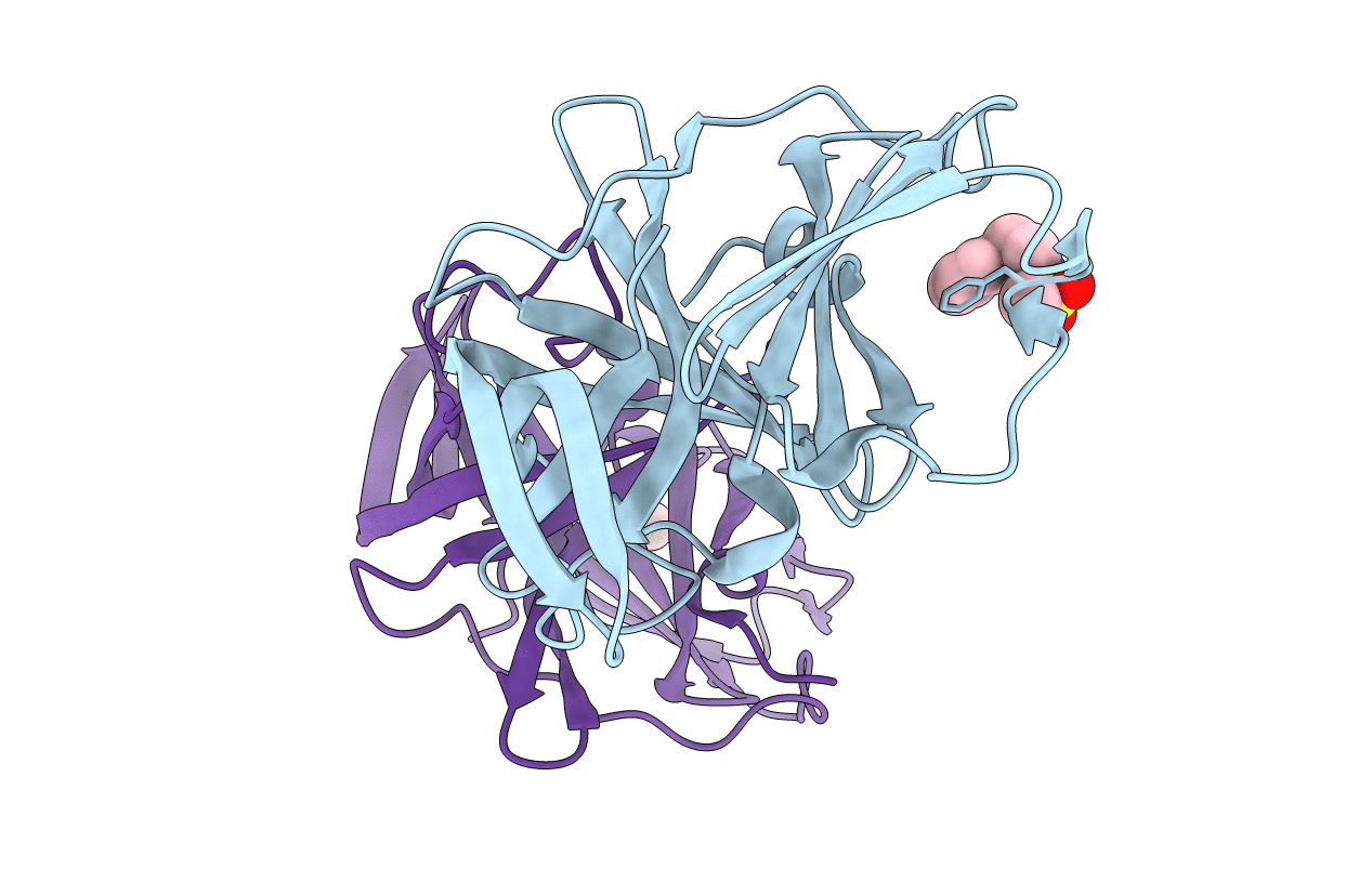 6T2I image
