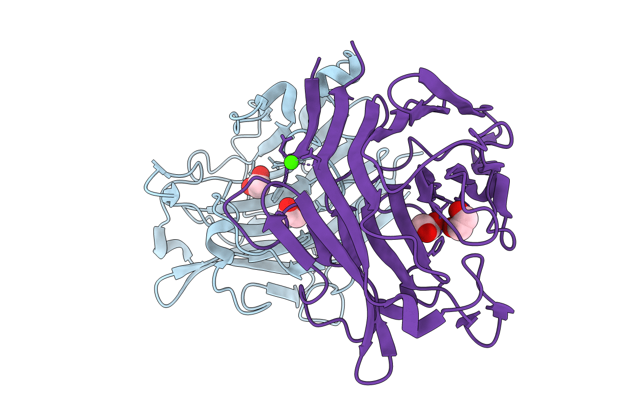 6T2O image