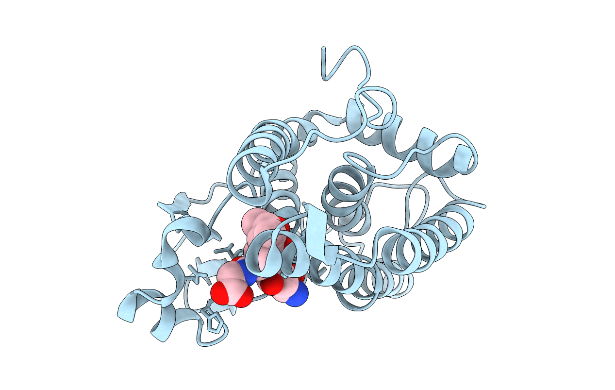 6T2T image