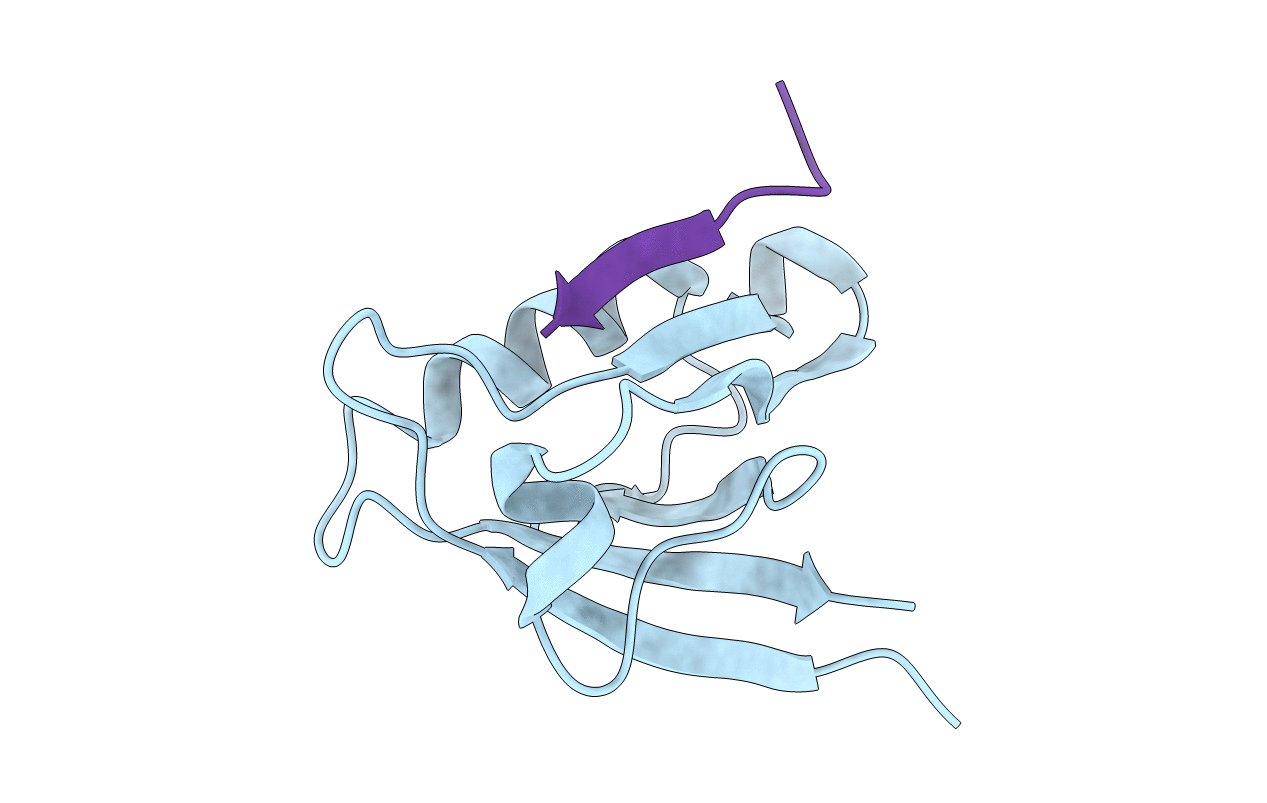 6T36 image