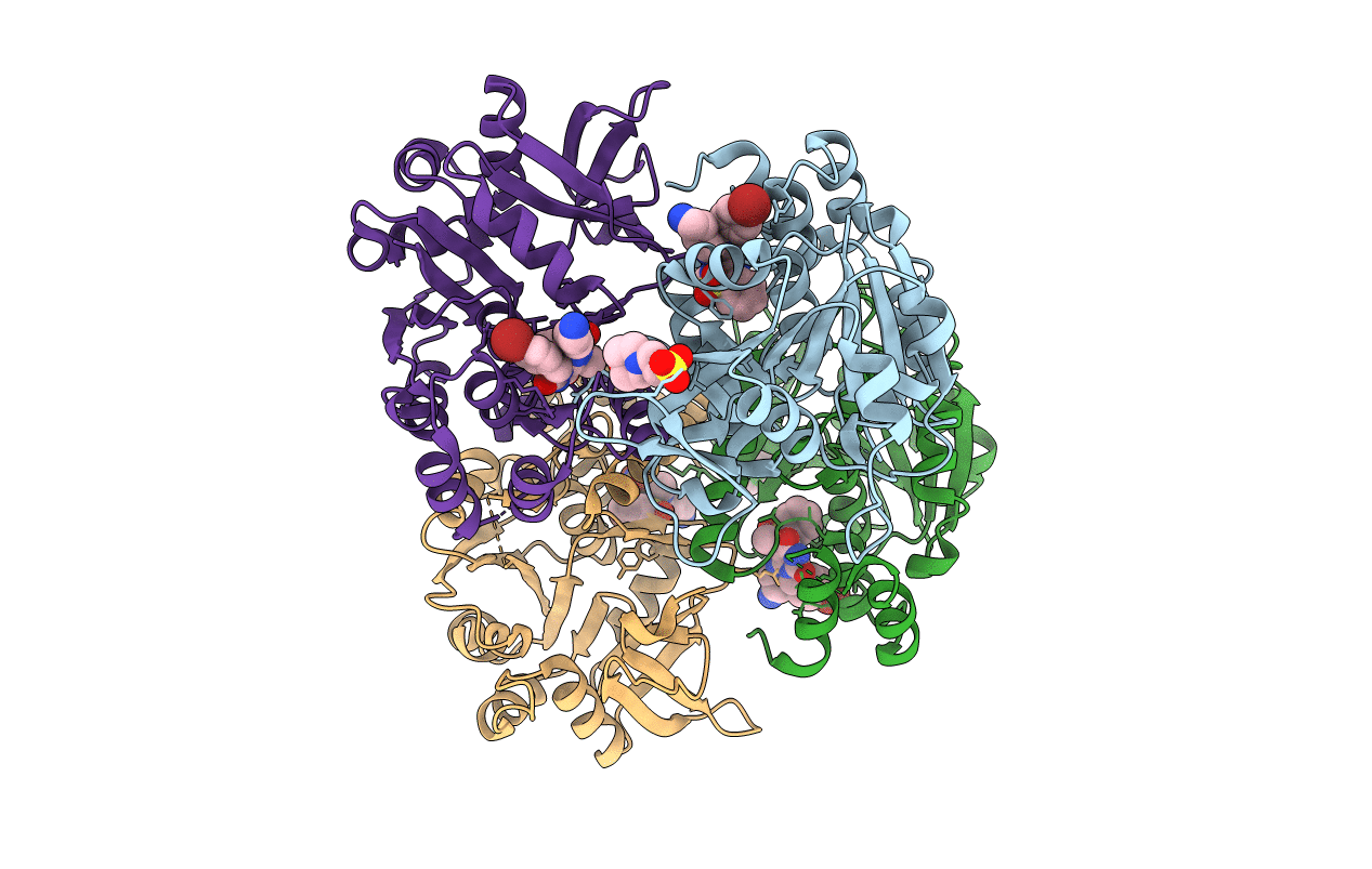 6T38 image