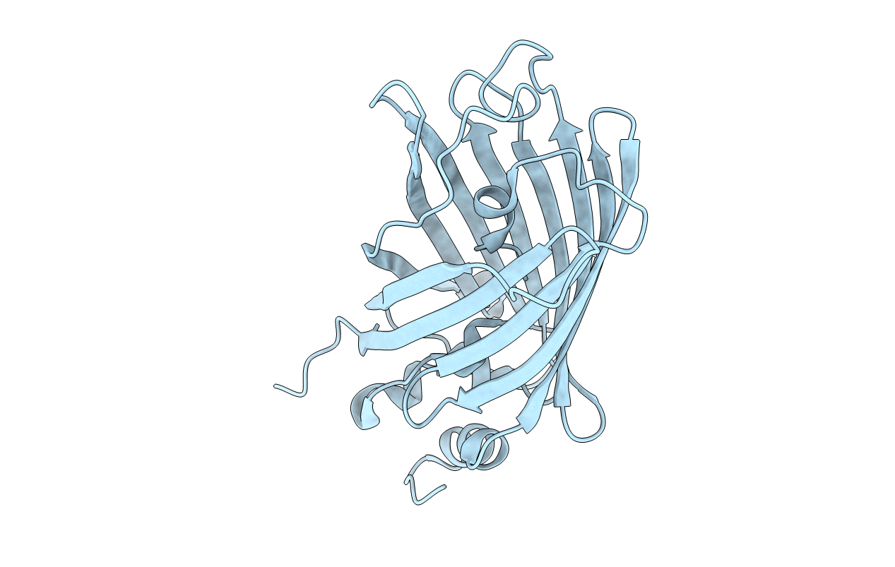 6T3A image