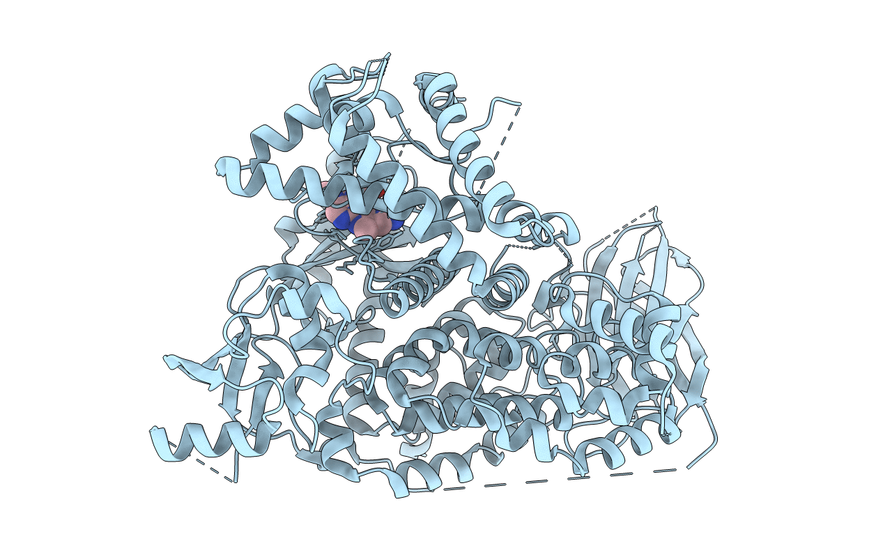6T3C image