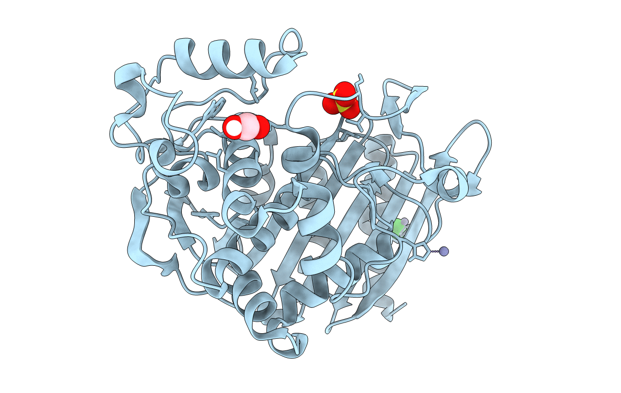 6T3D image