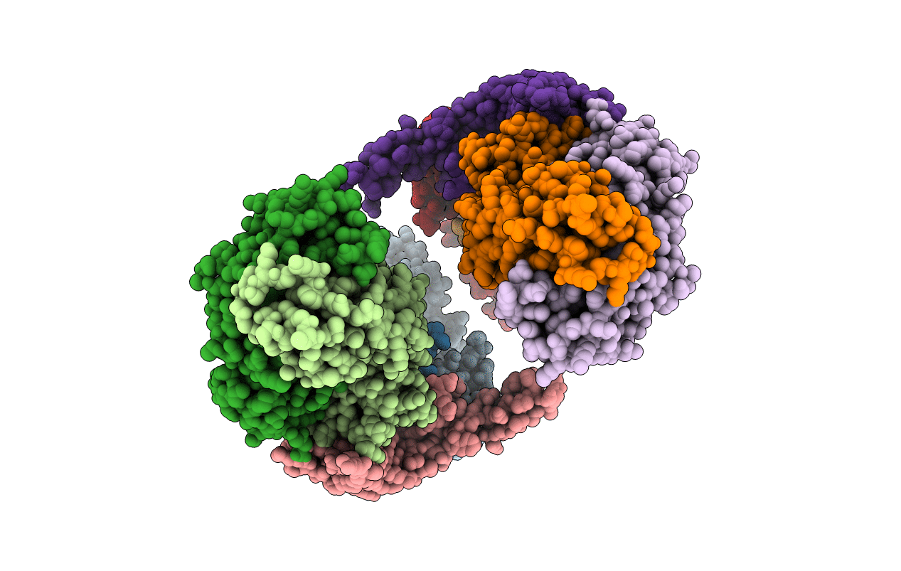 6T3J image