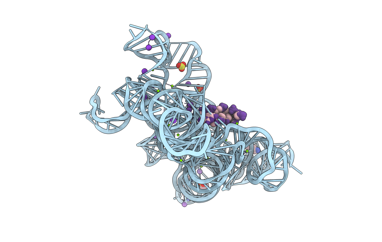 6T3K image