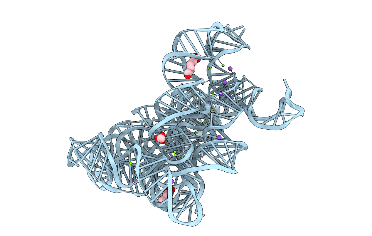 6T3S image