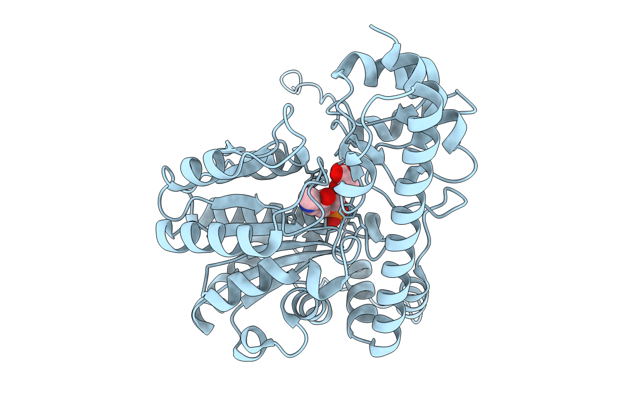 6T3V image