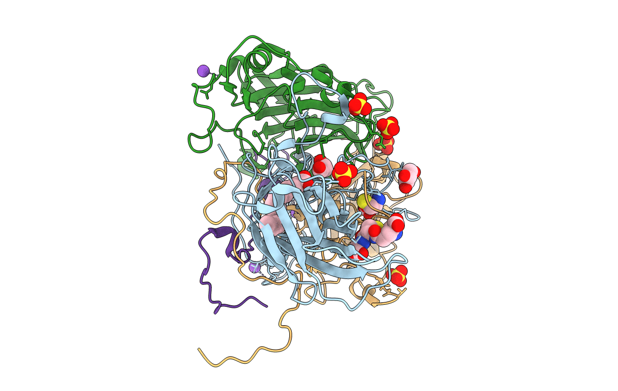 6T48 image