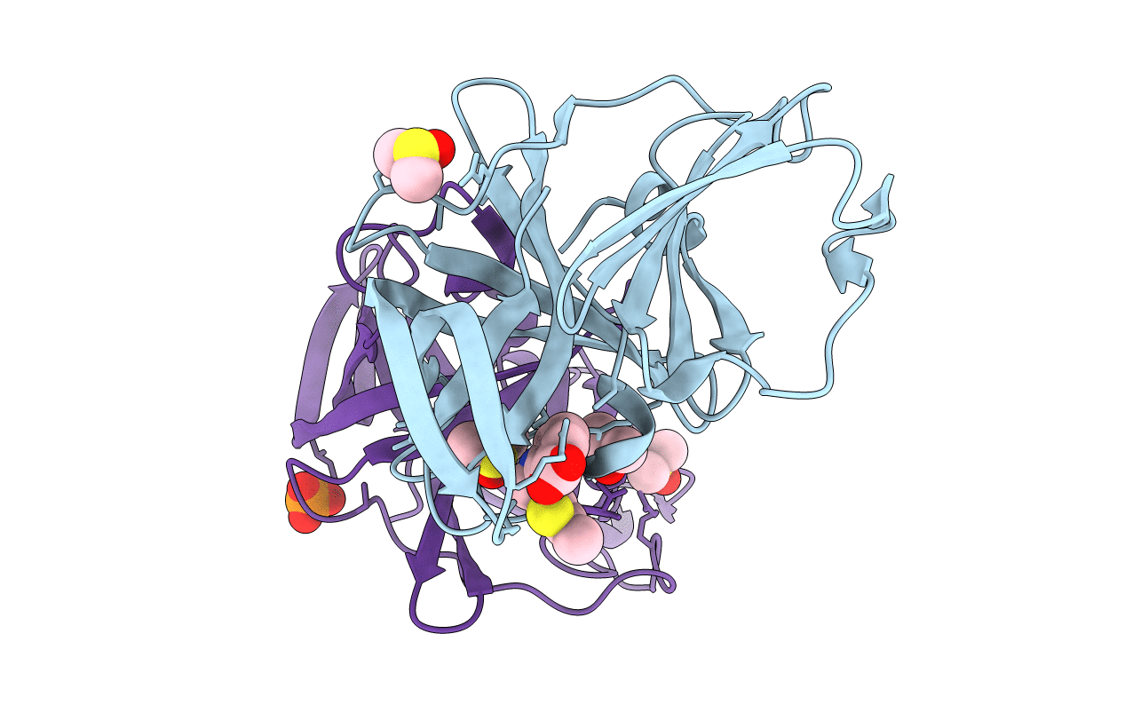 6T49 image