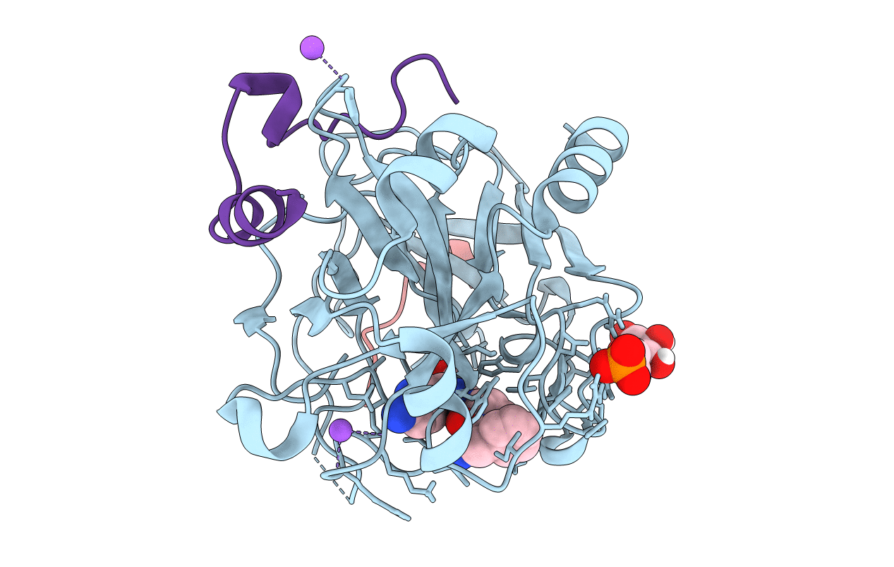 6T4A image