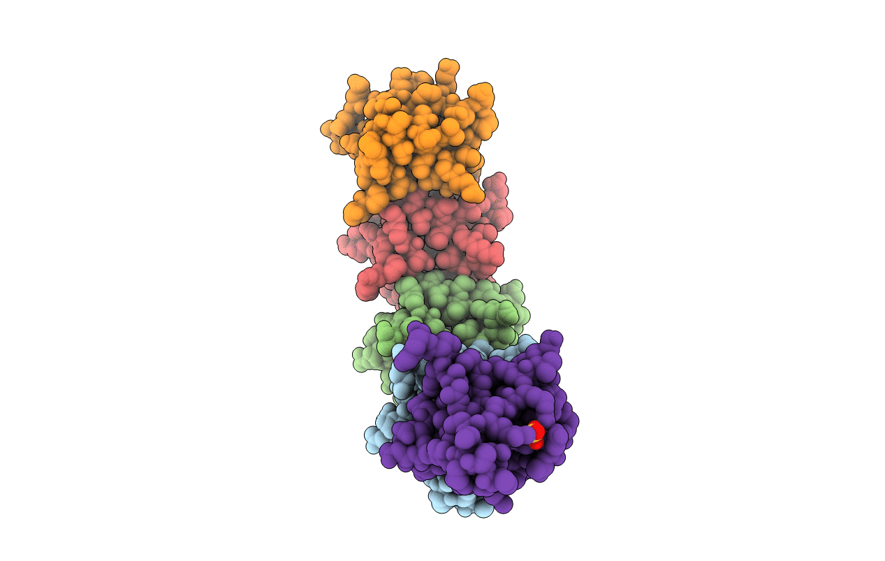 6T4B image
