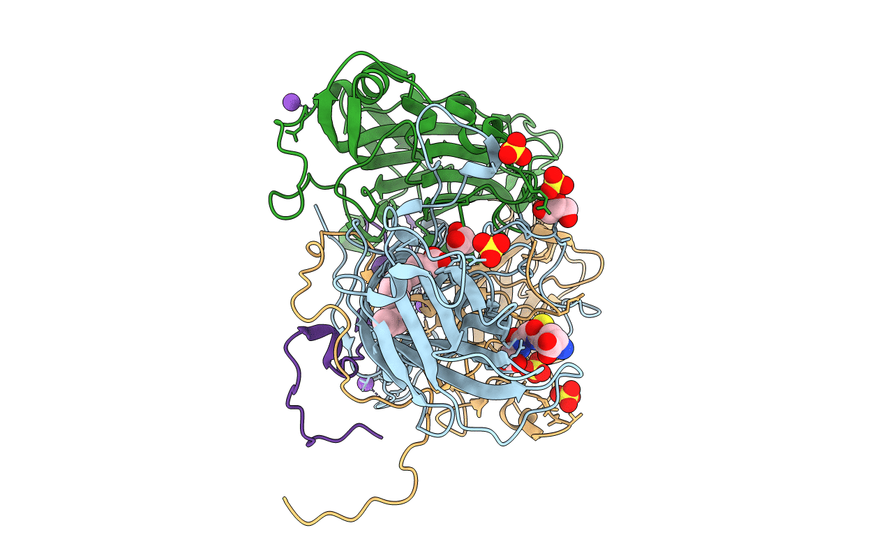 6T4C image