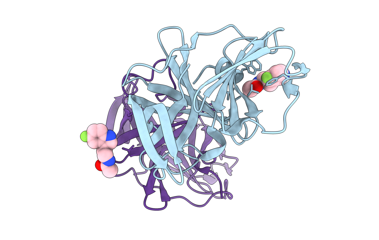 6T4E image