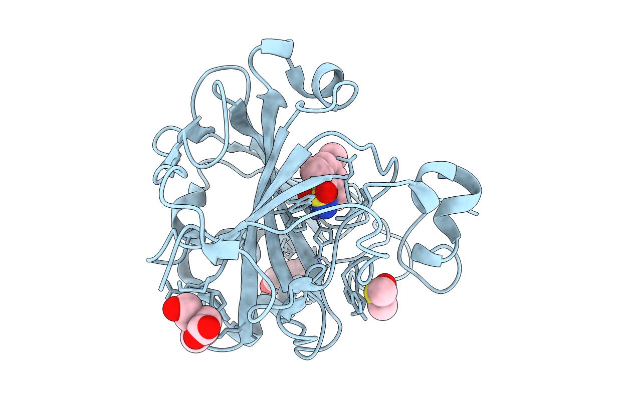6T4N image