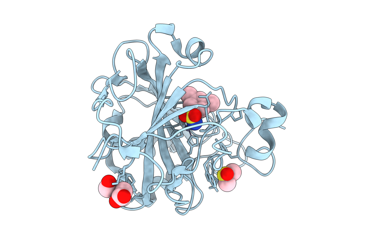 6T4O image