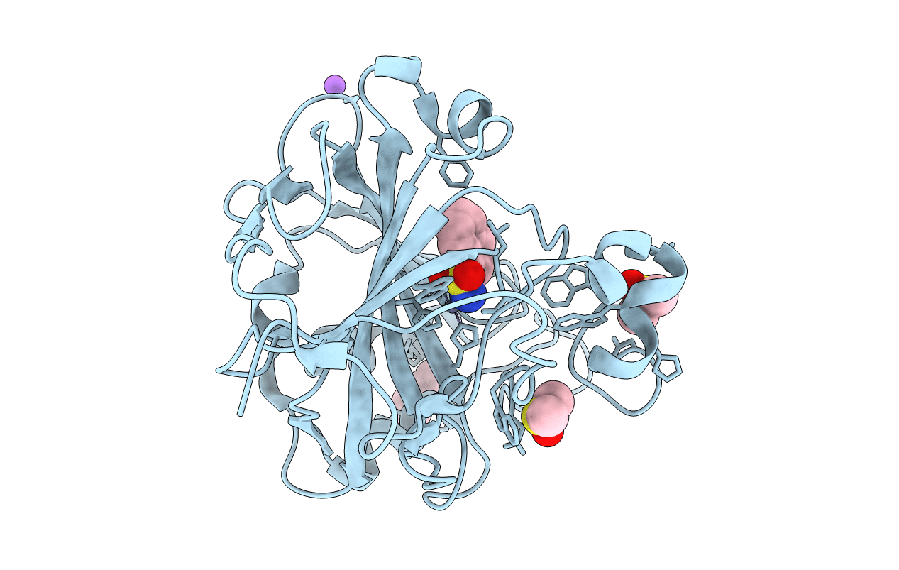 6T4P image