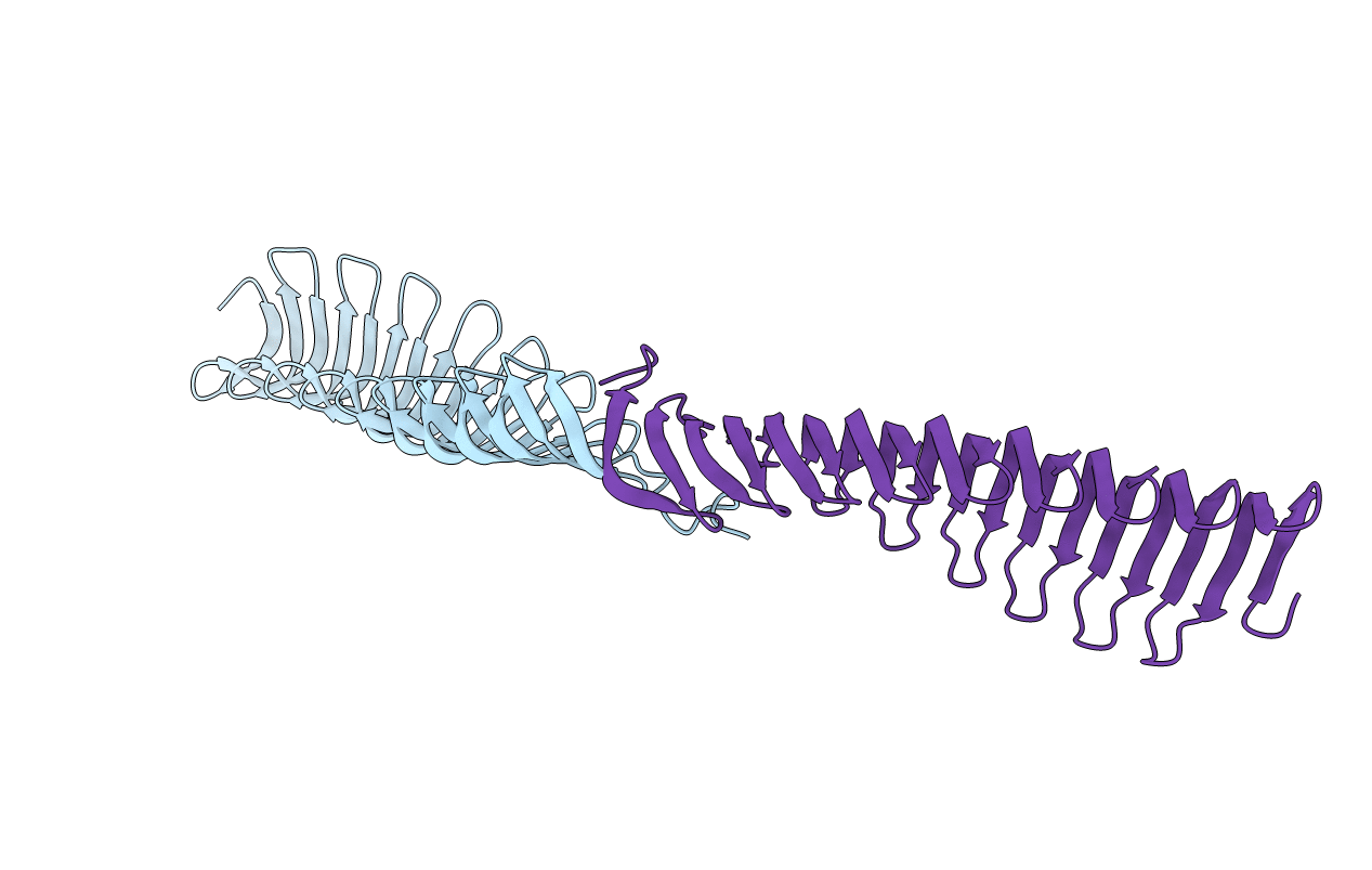 6T4R image