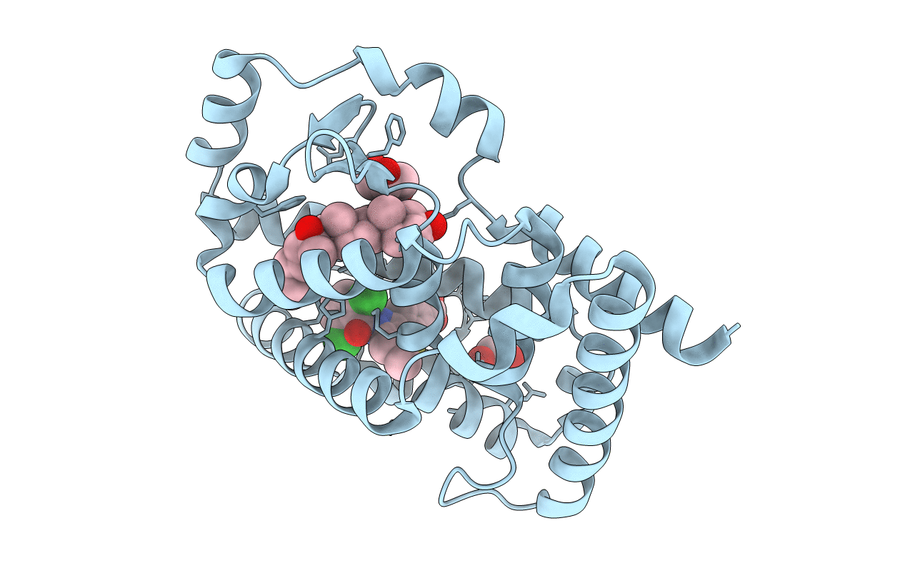 6T4W image