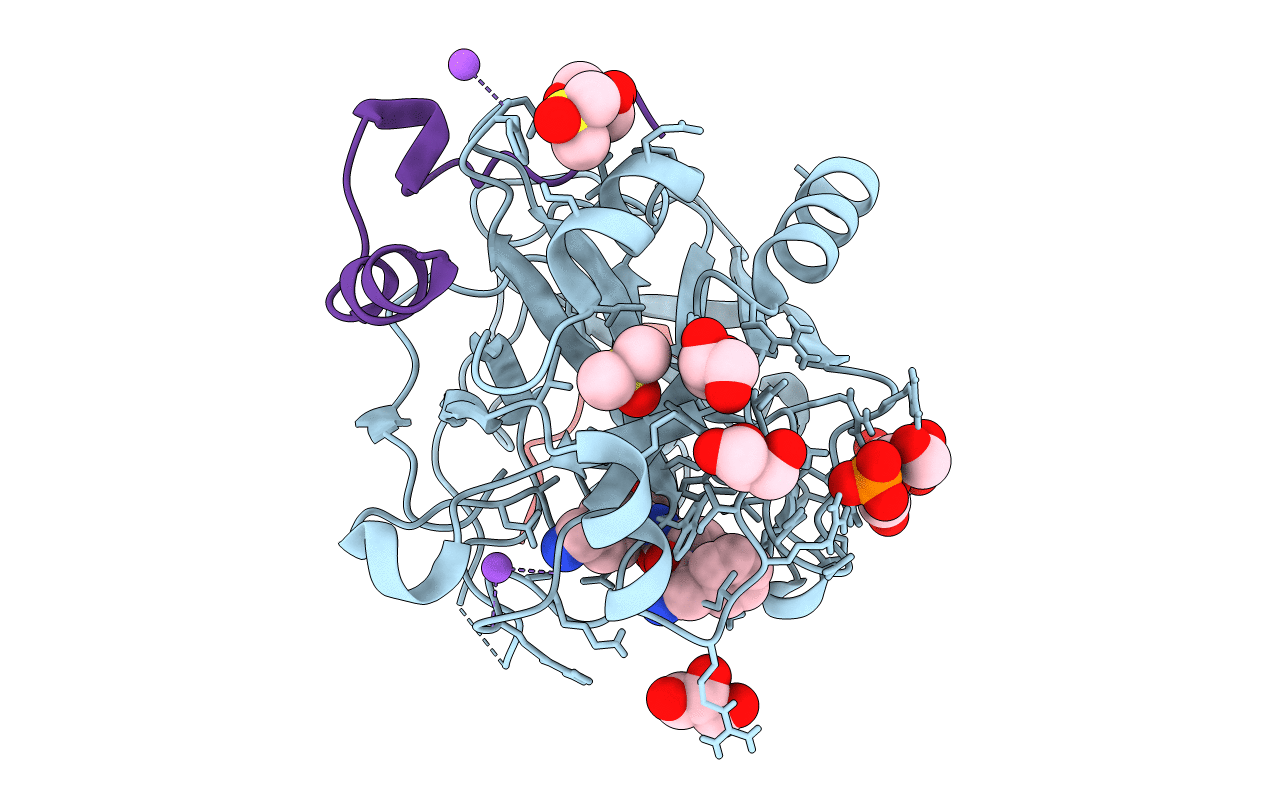 6T53 image