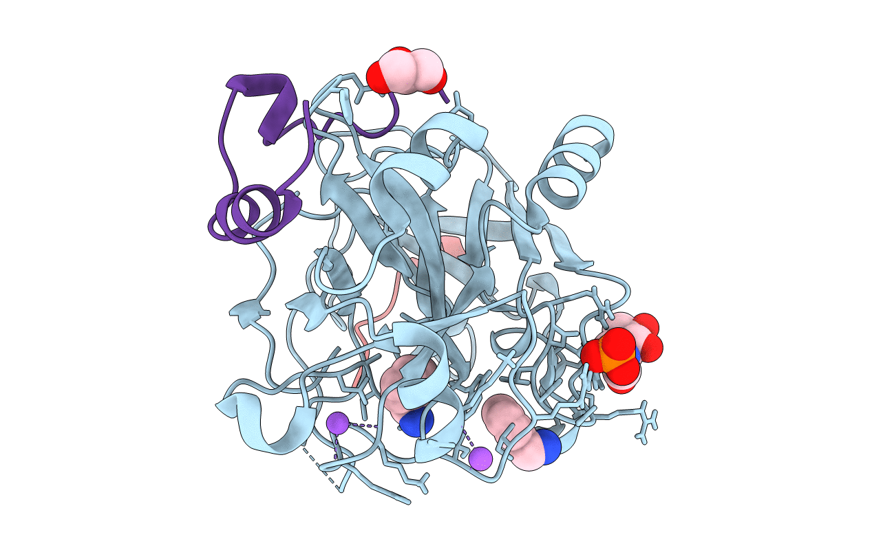 6T56 image