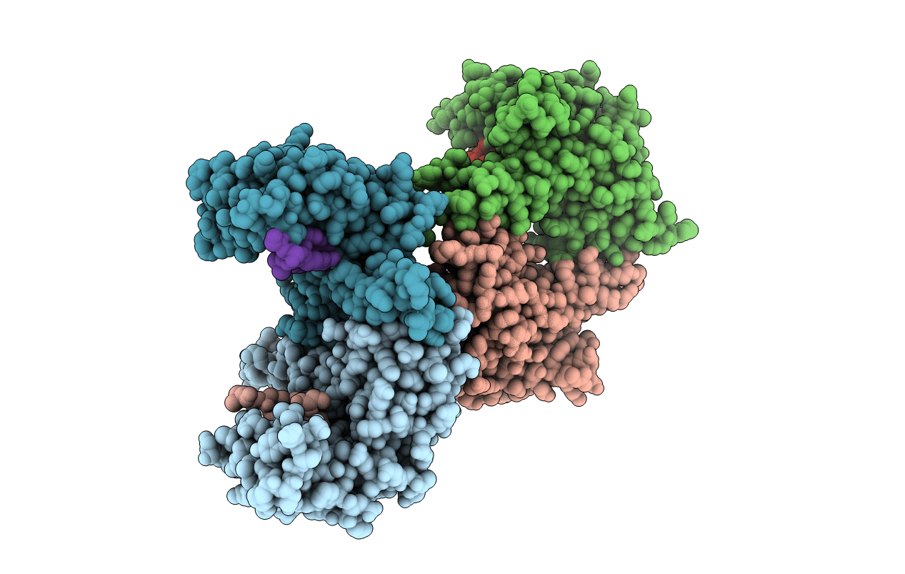 6T5F image