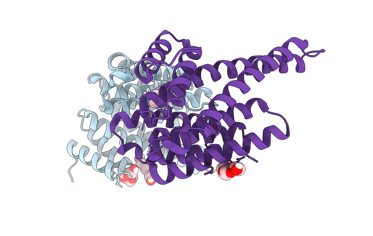 6T5H image