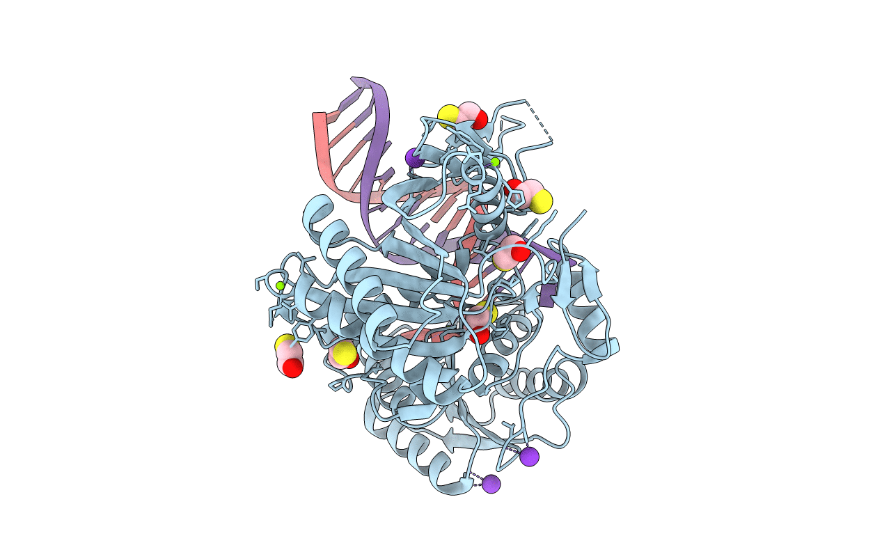 6T5T image