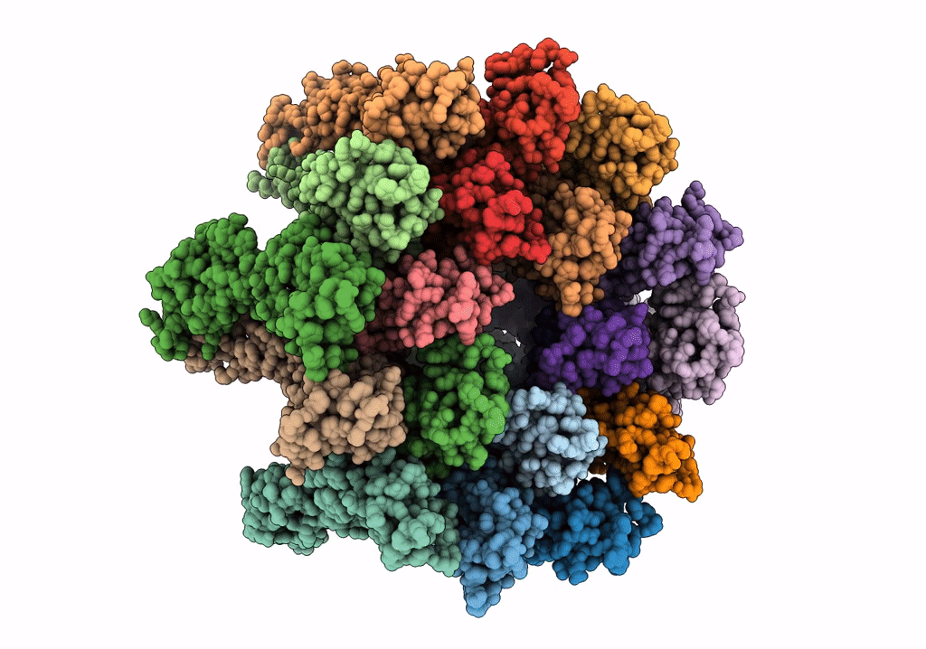 6T61 image