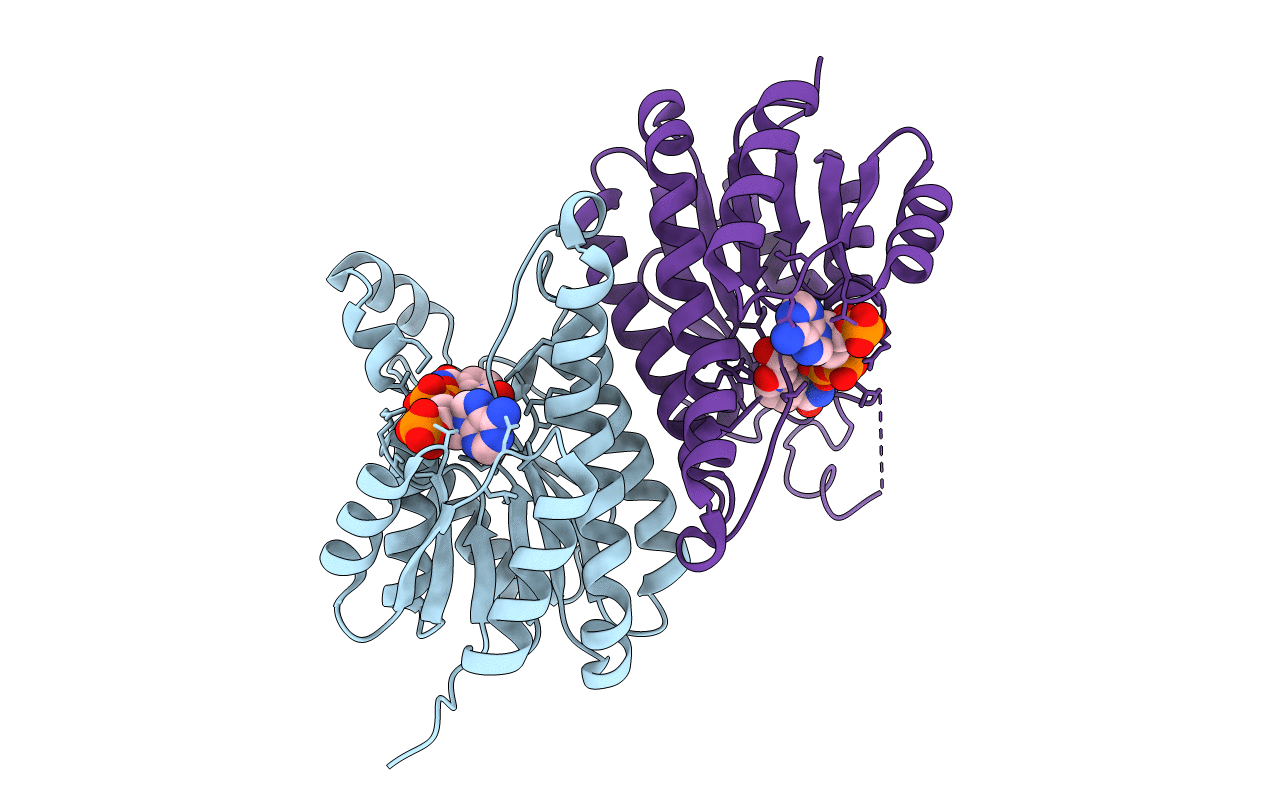 6T62 image