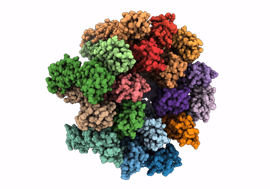 6T63 image