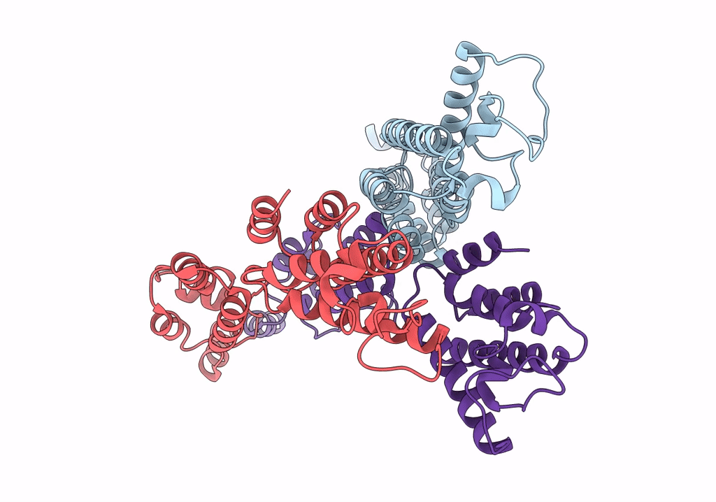 6T64 image