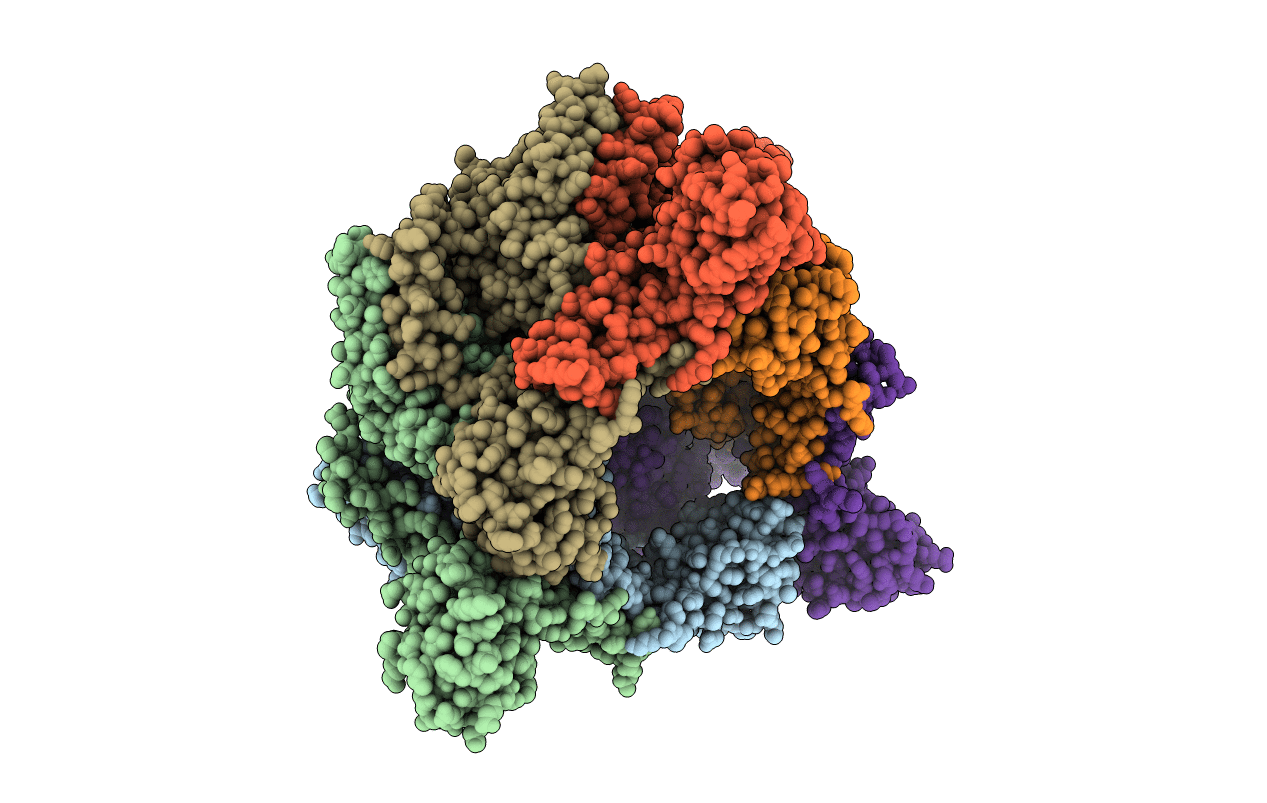 6T66 image