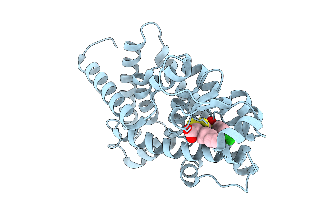 6T6B image