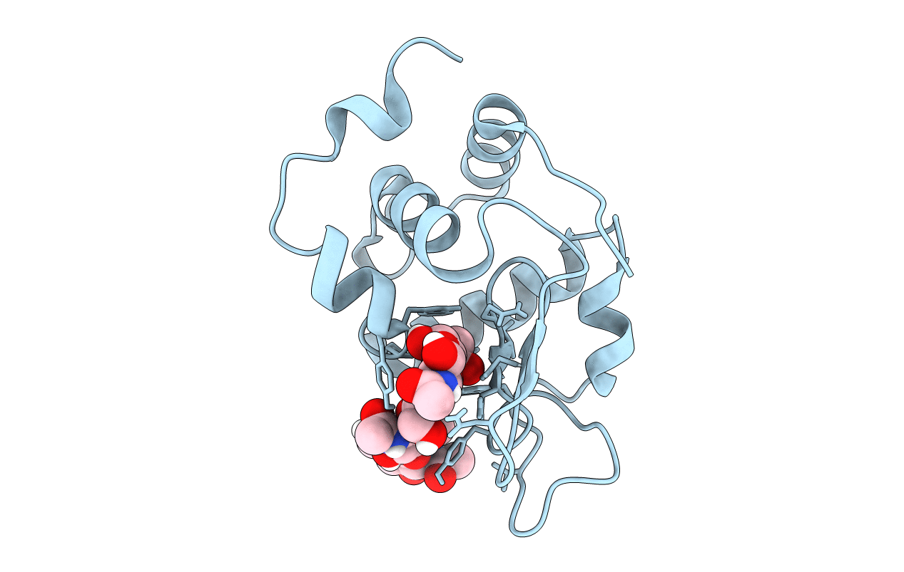 6T6C image