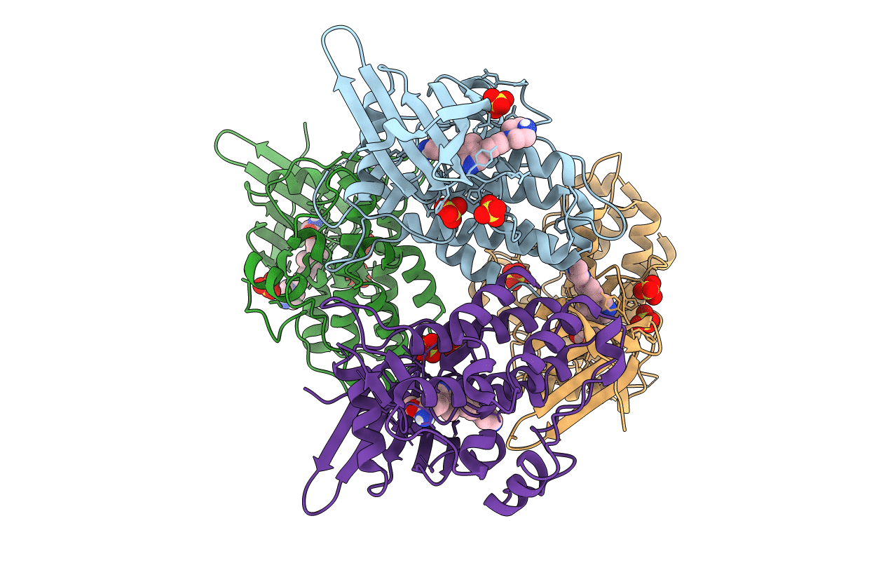 6T6D image
