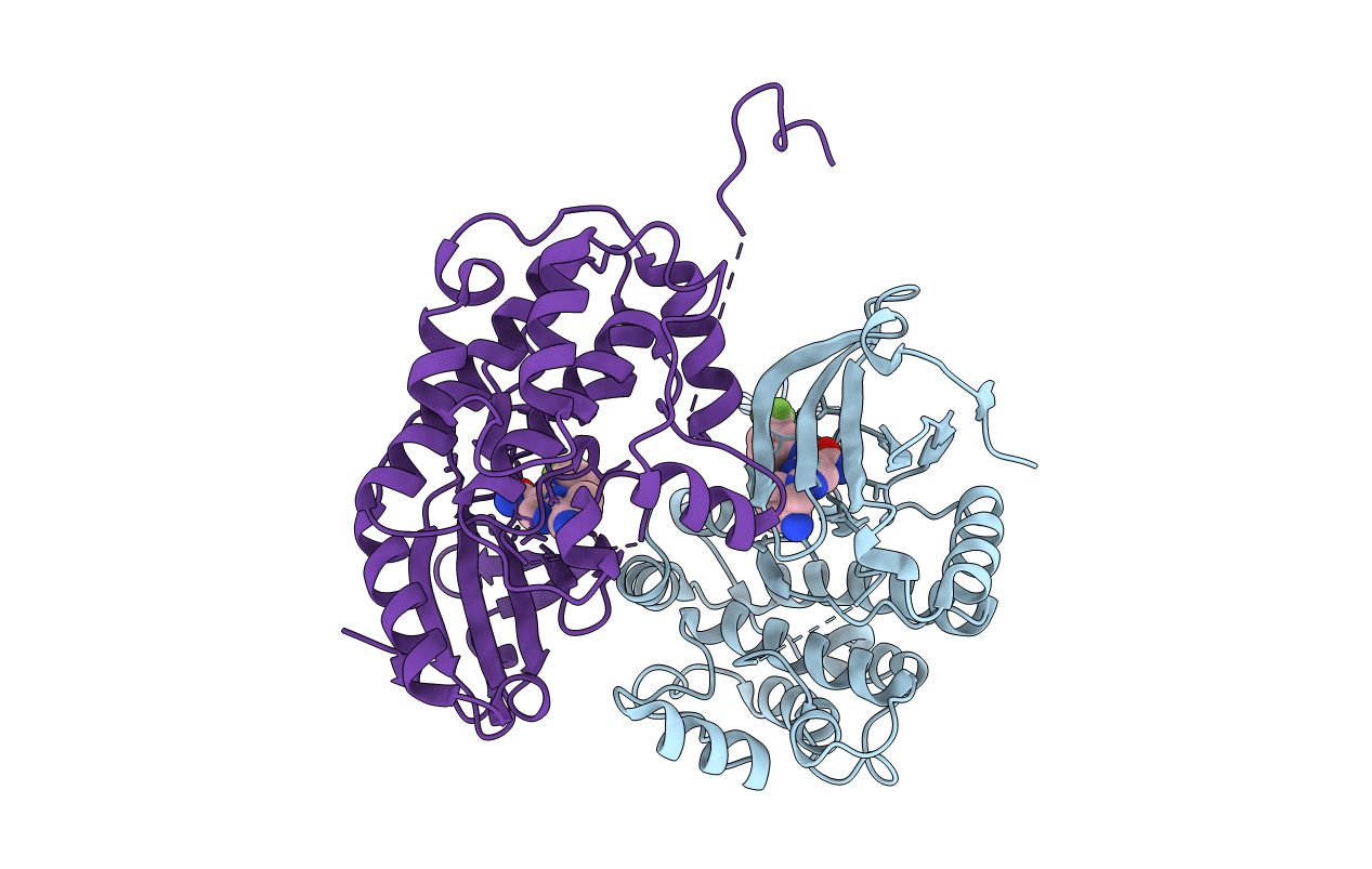 6T6F image