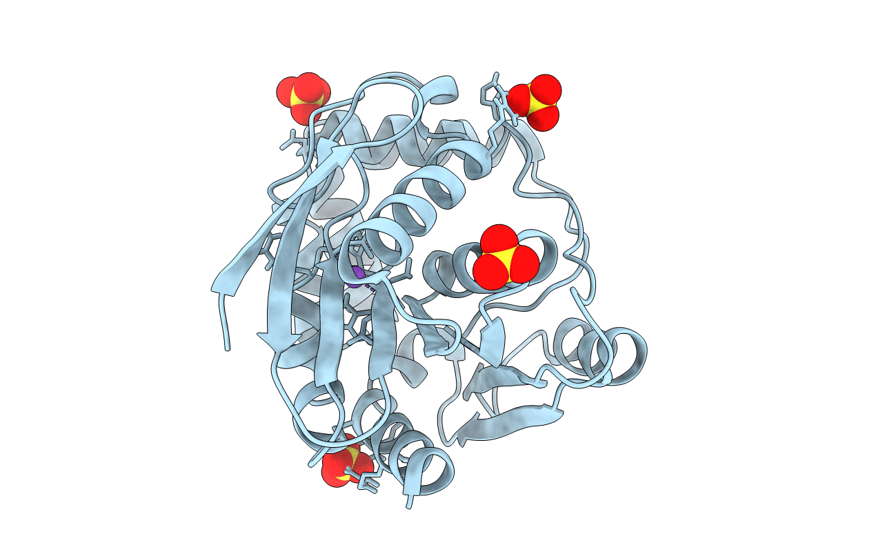 6T6H image