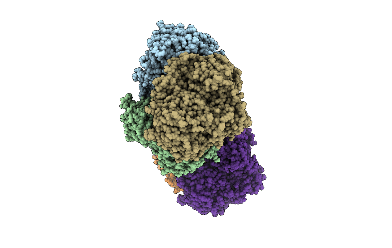 6T75 image