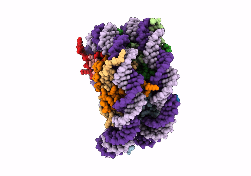 6T79 image