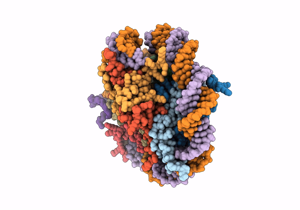 6T7A image