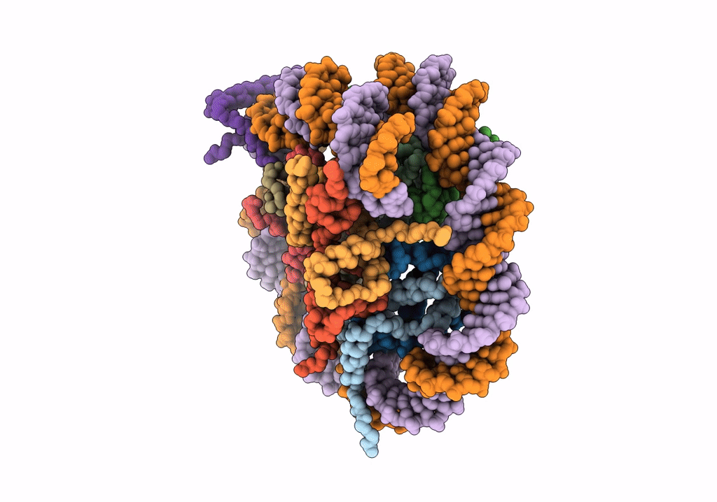 6T7B image