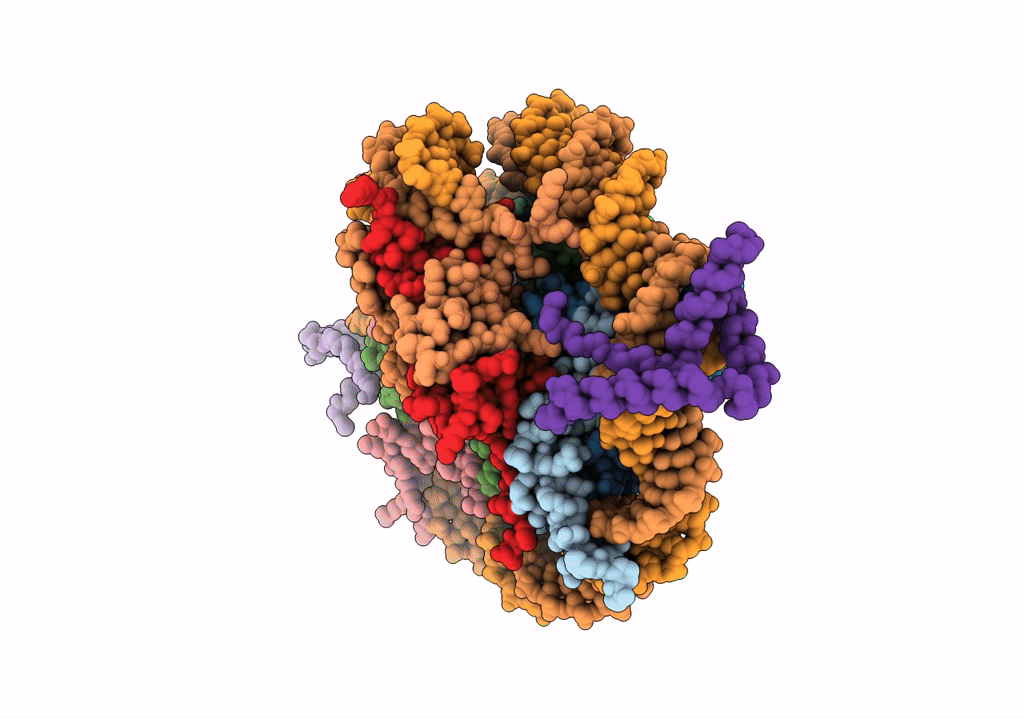 6T7C image