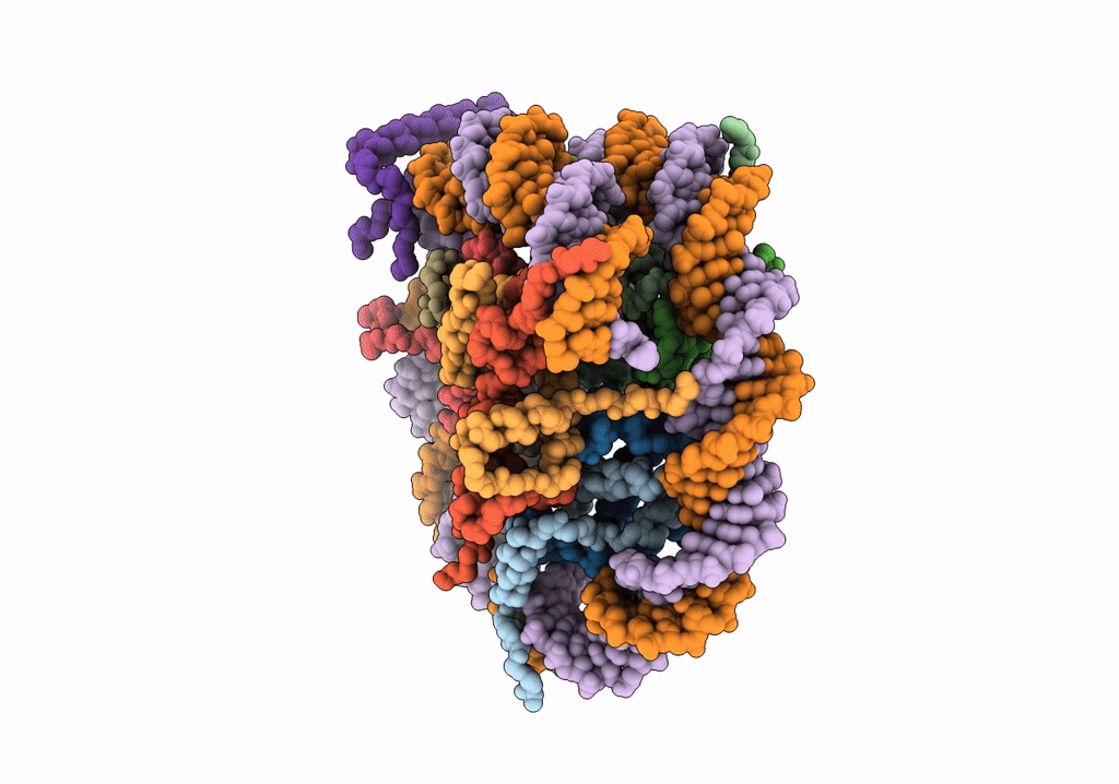 6T7D image