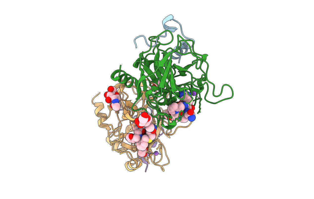 6T7H image