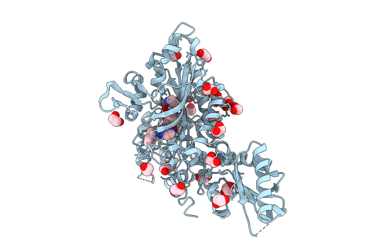6T7K image