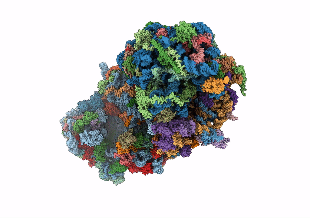 6T83 image