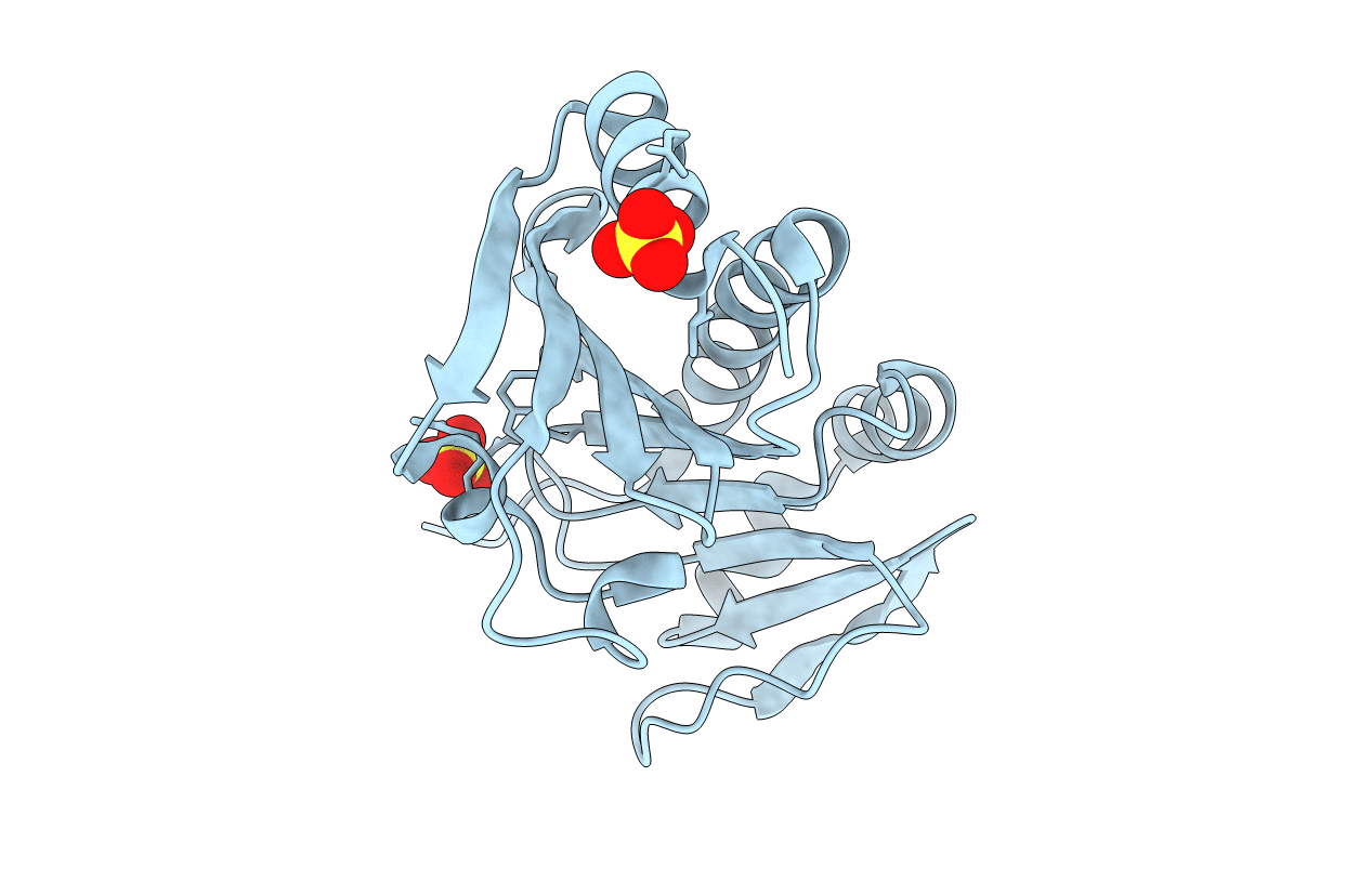 6T84 image
